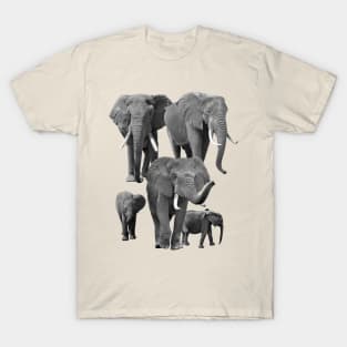 Elephants family - Elephant - Elis in Africa T-Shirt